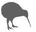 kiwigrey