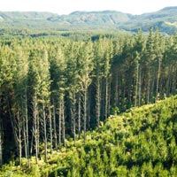 Emissions Trading Scheme