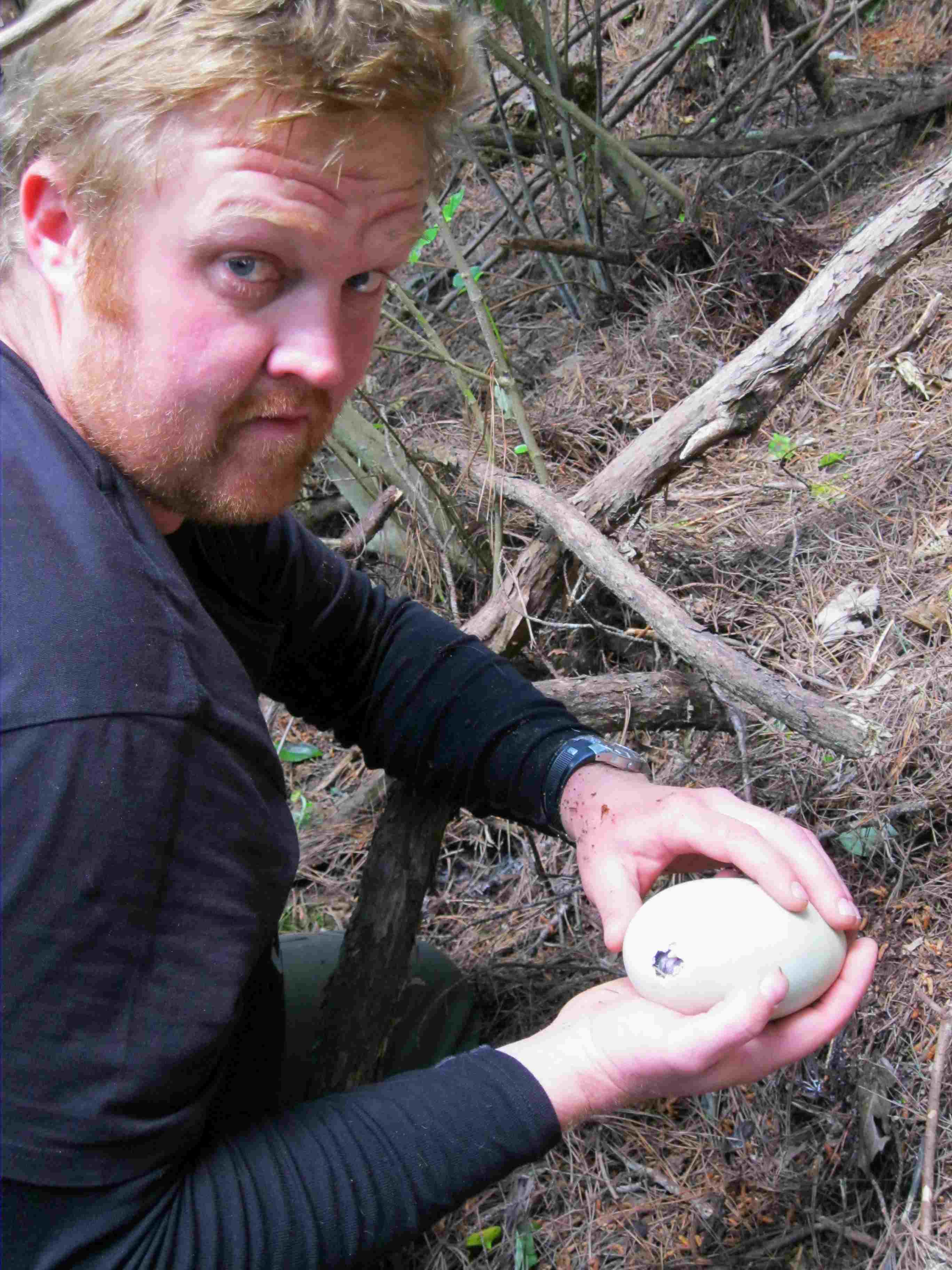 Jono Williams removing a kiwi egg for safe hatching